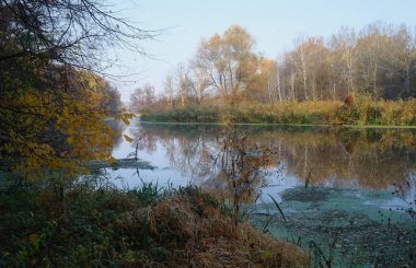 Nehir manzara ve sonbahar ahşap .