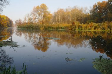 Nehir manzara ve sonbahar ahşap .