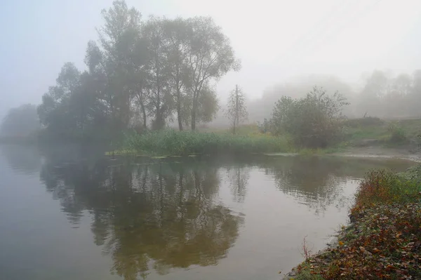 Herbstlandschaft mit gelbem Baum am Ufer des Flusses — Stockfoto