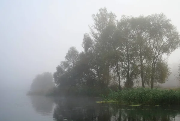 Herbstlandschaft mit gelbem Baum am Ufer des Flusses — Stockfoto