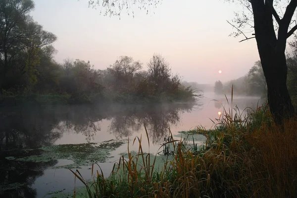 Sabahın erken saatlerinde nehir manzarası.