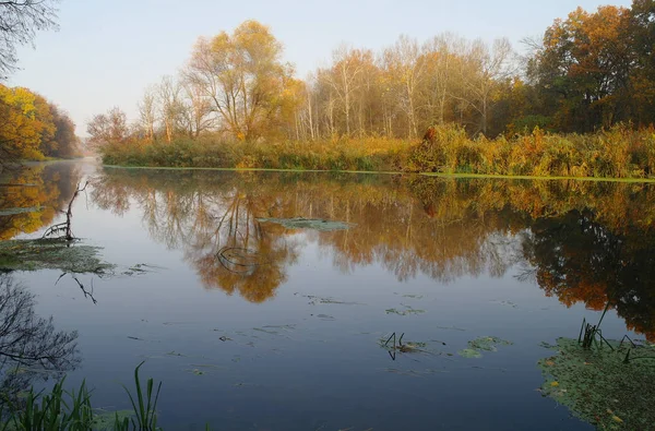 Nehir manzara ve sonbahar ahşap .