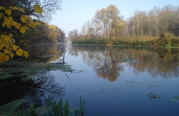 Rzeki Krajobraz Autumn Drewno — Zdjęcie stockowe