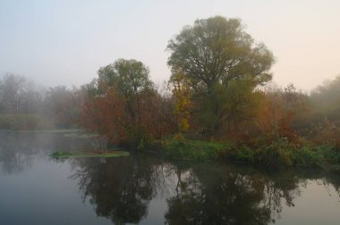 Nehir manzara ve sonbahar ahşap .