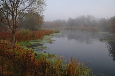 Nehir manzara ve sonbahar ahşap
