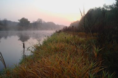 Nehir manzara ve sonbahar ahşap .