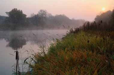 Nehir manzara ve sonbahar ahşap