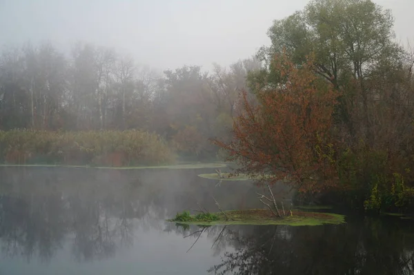 Flusslandschaft Und Herbstholz — Stockfoto