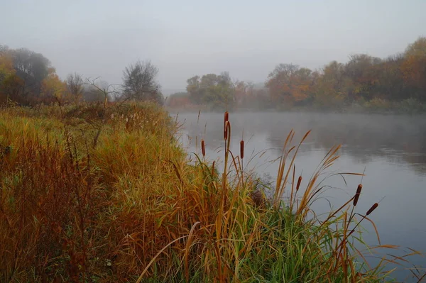 Rivier landschap en de herfst hout — Stockfoto