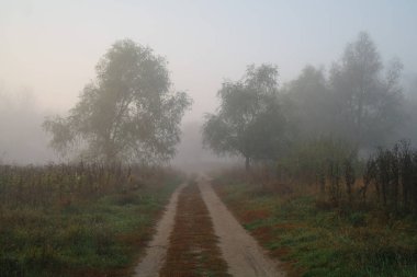 Sisteki sonbahar ülkede yol