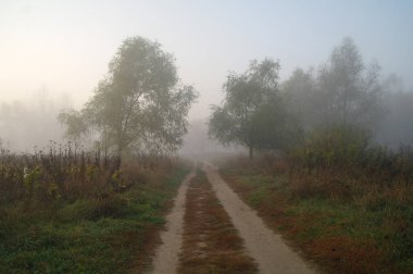 Sisteki sonbahar ülkede yol