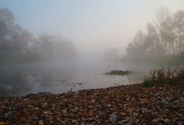 Nehir manzara ve sonbahar ahşap