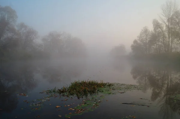 Flusslandschaft und Herbstholz — Stockfoto