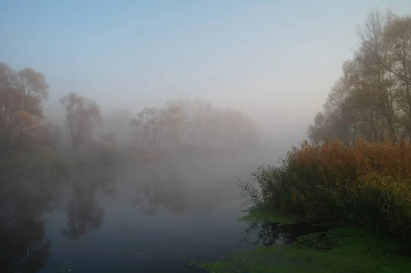 Flusslandschaft und Herbstholz — Stockfoto