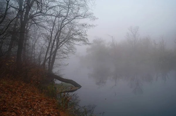Nehir manzara ve sonbahar ahşap