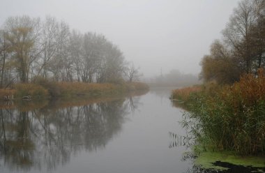 Nehir manzara ve sonbahar ahşap