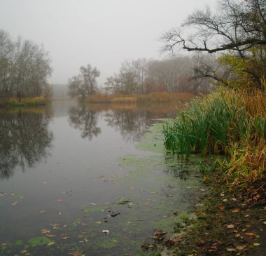 Nehir manzara ve sonbahar ahşap