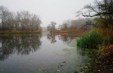 Nehir manzara ve sonbahar ahşap