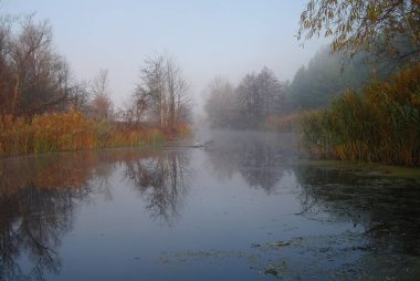 Nehir manzara ve sonbahar ahşap .