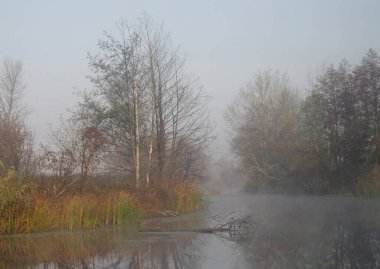 Nehir manzara ve sonbahar ahşap .