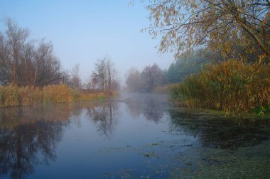 Nehir manzara ve sonbahar ahşap .