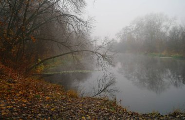 Nehir manzara ve sonbahar ahşap .