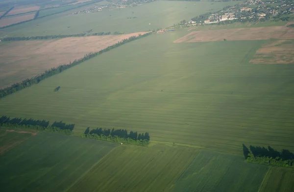 Vista Aérea Sobre Planta Agrícola — Fotografia de Stock