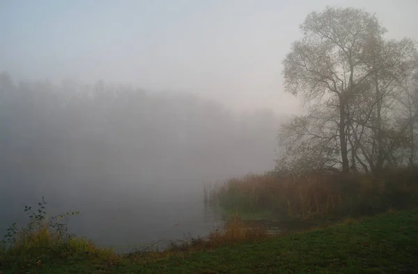 River Landscape Autumn Wood — Stock Photo, Image