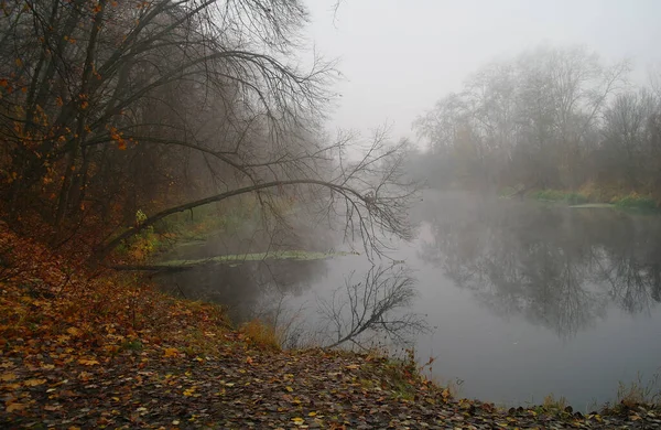 River Landscape Autumn Wood — Stock Photo, Image