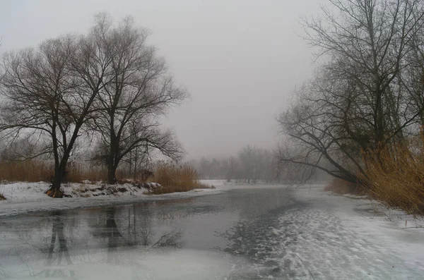 Lente landschap met een boom, met droog riet, een rivier die zich ontdoet van ijs. — Stockfoto
