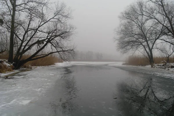 Tavaszi táj egy fával, száraz náddal, egy folyó, ami megszabadul a jégtől.. — Stock Fotó