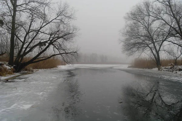 Spring landscape with a tree, with dry reeds, a river that gets rid of ice. — Stockfoto