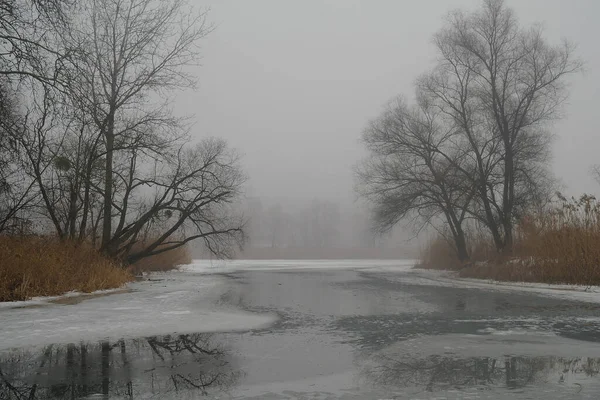 木のある春の風景、乾燥した葦、氷を取り除く川. — ストック写真