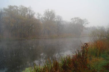 Sabahın erken saatlerinde nehir manzarası.
