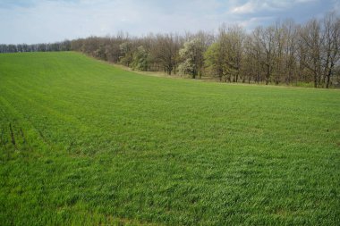 Ülkeye bahar geliyor.