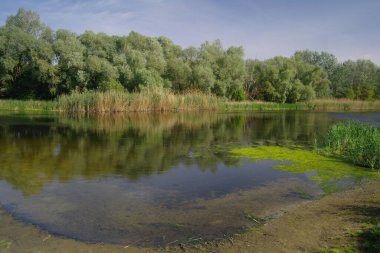 Nehir, ağaçlı arazi ve mavi gökyüzü