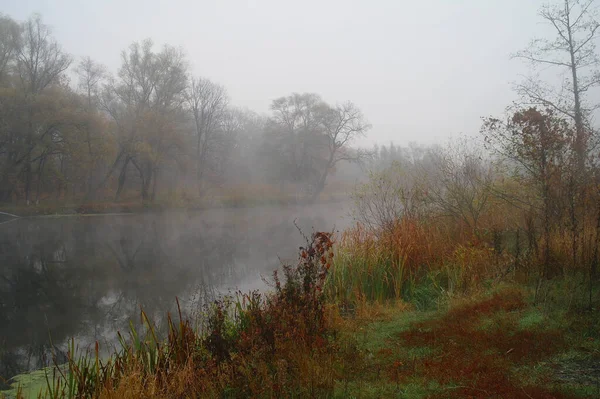 Landschaft Mit Fluss Frühen Morgen — Stockfoto