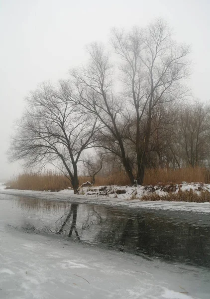 Winter Auf Dem Zugefrorenen Fluss — Stockfoto