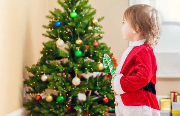 Μικρό παιδί κορίτσι βλέπει το χριστουγεννιάτικο δέντρο — Φωτογραφία Αρχείου
