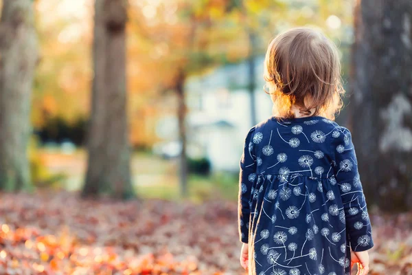 Yürümeye başlayan çocuk kız yaprakları yığınının içinde ayakta — Stok fotoğraf