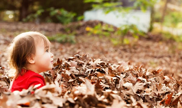 Ragazza bambino seduto in mucchio di foglie — Foto Stock