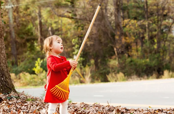 Toddler girl holding rake — Stock Photo, Image