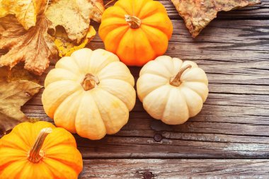 ahşap tahta üzerinde yaprakları ile sonbahar kabaklar