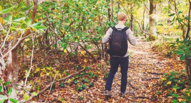 Bir orman yolu üzerinde yürüyen adam