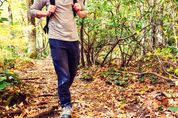 Uomo che cammina su un sentiero forestale — Foto Stock
