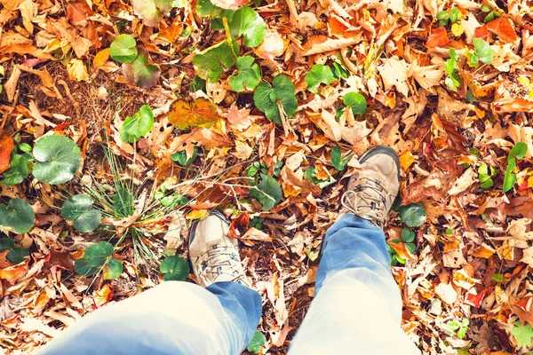 Mann stakst auf Waldweg — Stockfoto