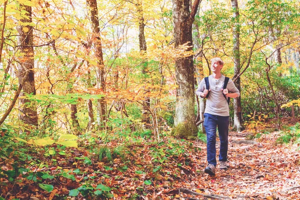 Man lopen op een bospad — Stockfoto