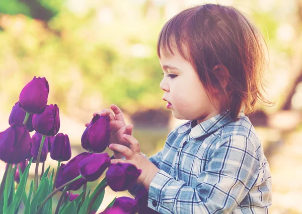 Kleinkind spielt mit lila Tulpen — Stockfoto