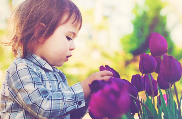 紫のチューリップと遊ぶ幼児の女の子 — ストック写真
