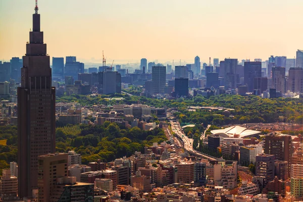 Widok na Tokio z góry — Zdjęcie stockowe